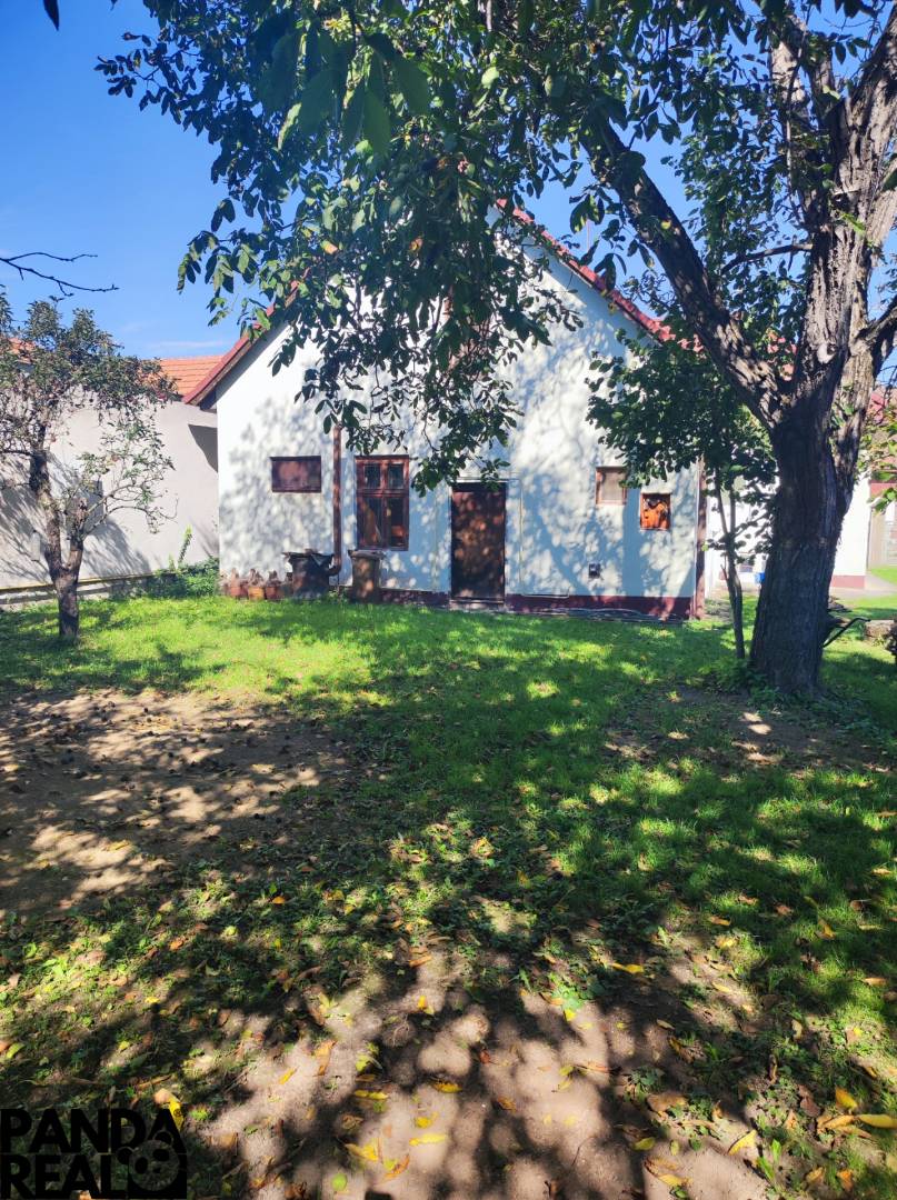 1000081255_3d5216577edebfd40c5ad84968379b3d-24. 9. 2025 21_01_42.jpg