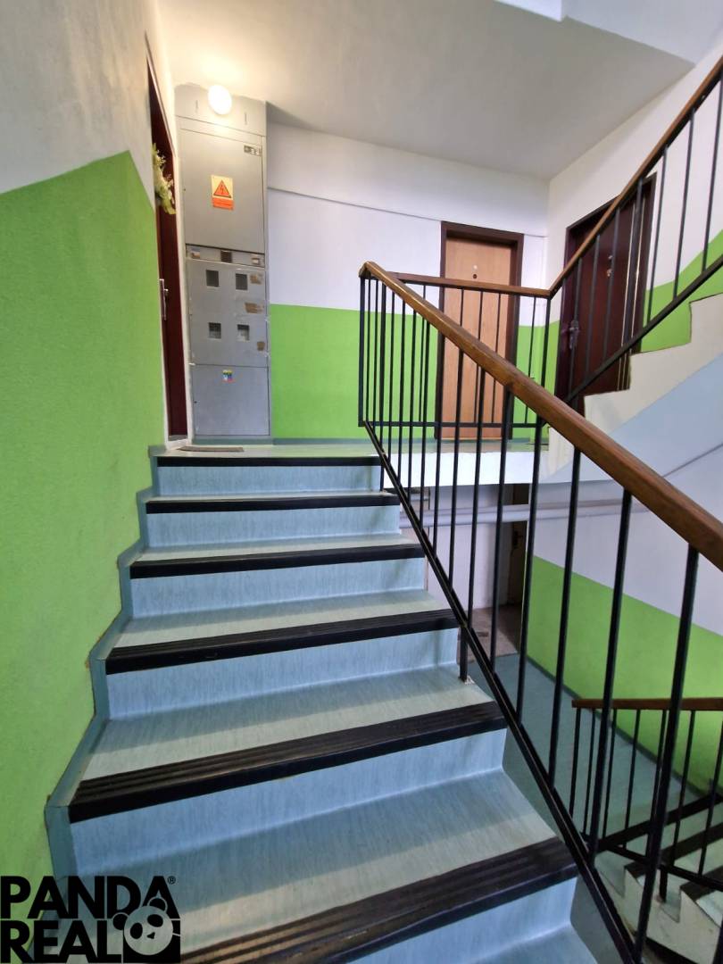 WhatsApp Image 2025-09-10 at 23.16.55.jpeg