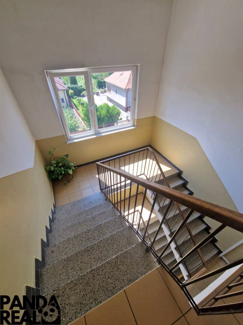 WhatsApp Image 2025-08-18 at 06.58.57-3.jpeg