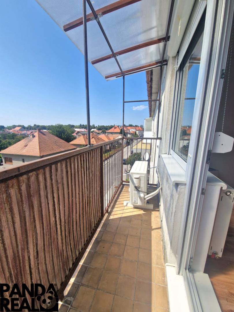 WhatsApp Image 2025-08-18 at 06.58.56.jpeg