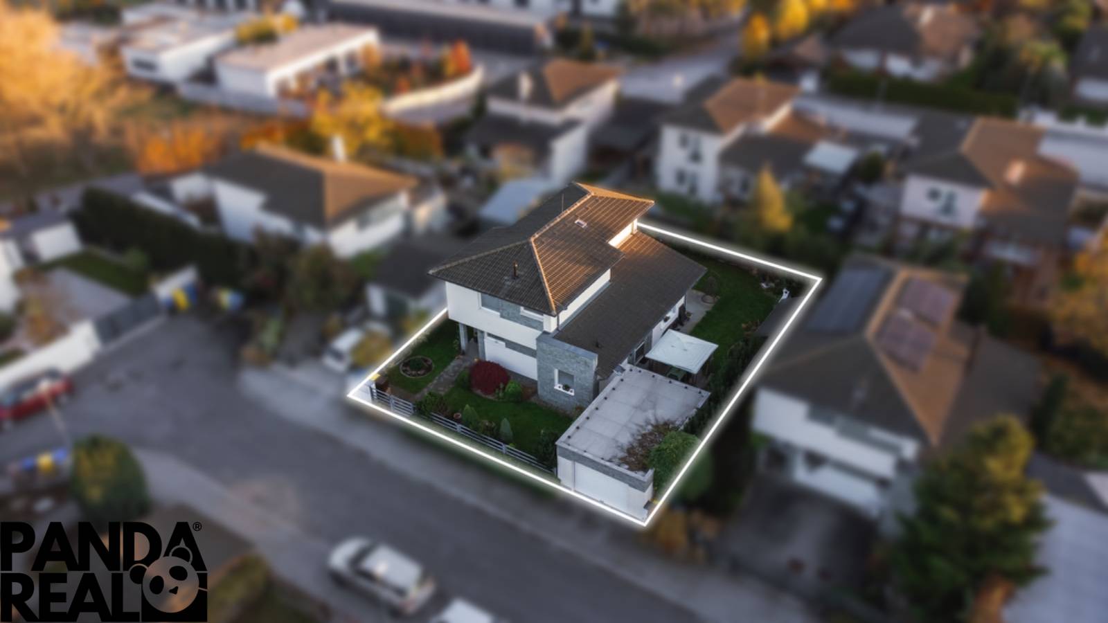 WhatsApp Image 2025-11-18 at 17.25.59.jpeg