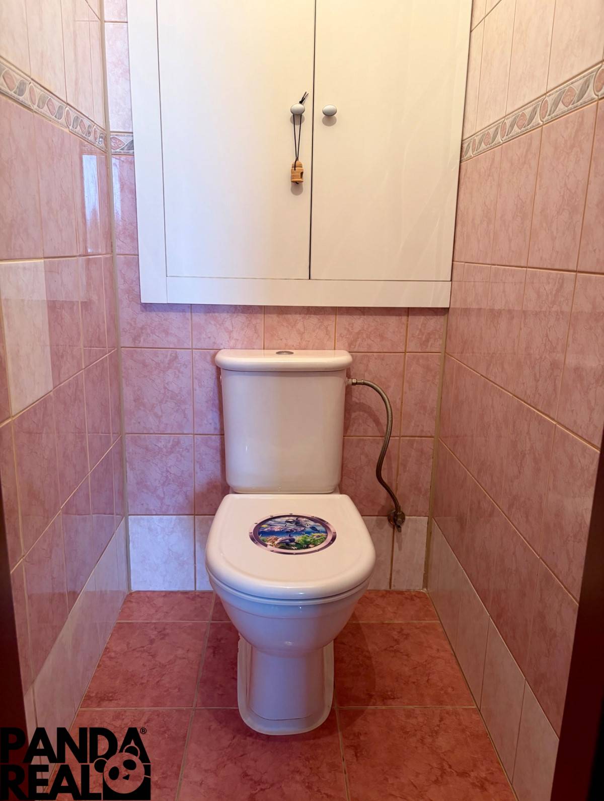 WhatsApp Image 2026-01-29 at 21.33.16.jpeg