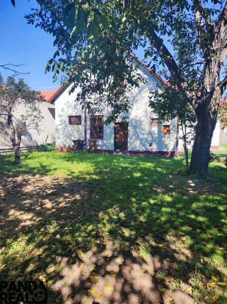 1000081255_3d5216577edebfd40c5ad84968379b3d-24. 9. 2025 21_01_42.jpg