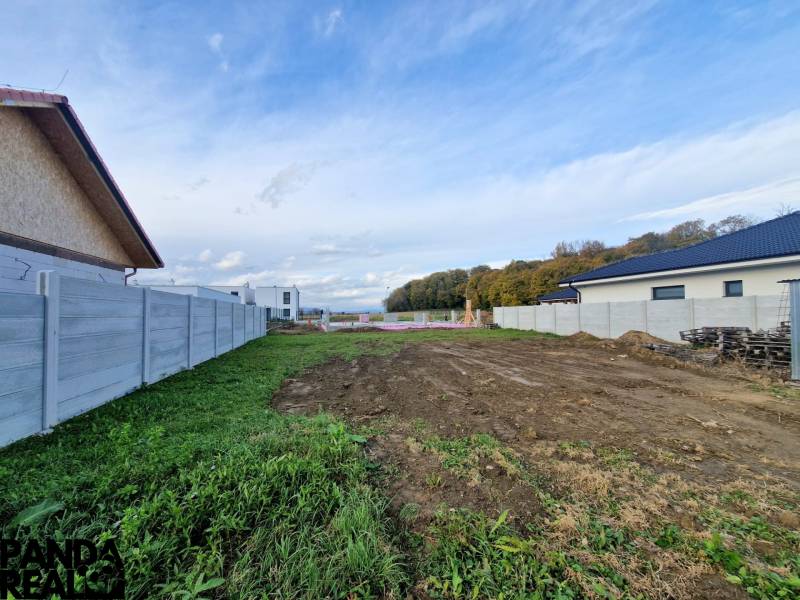 WhatsApp Image 2025-10-26 at 14.37.04.jpeg