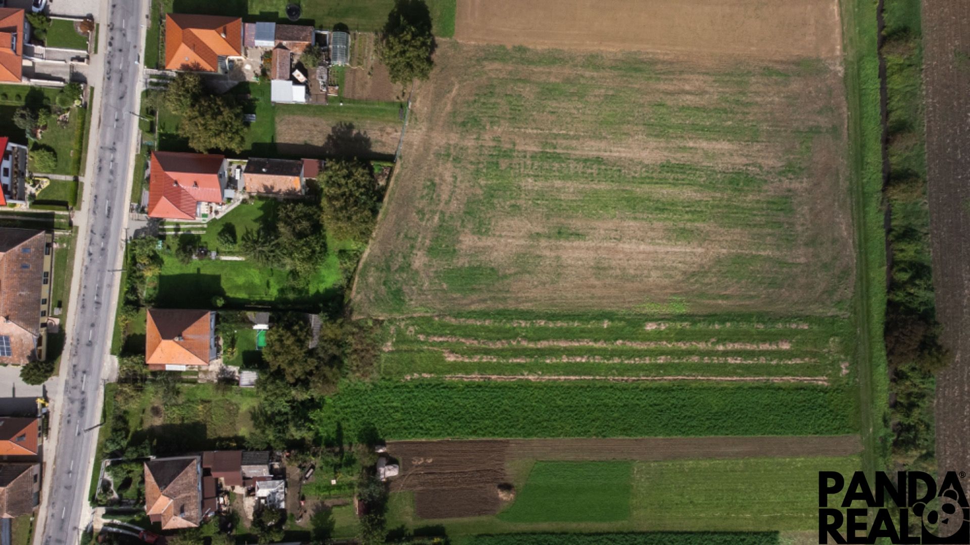 DJI_0970.jpg